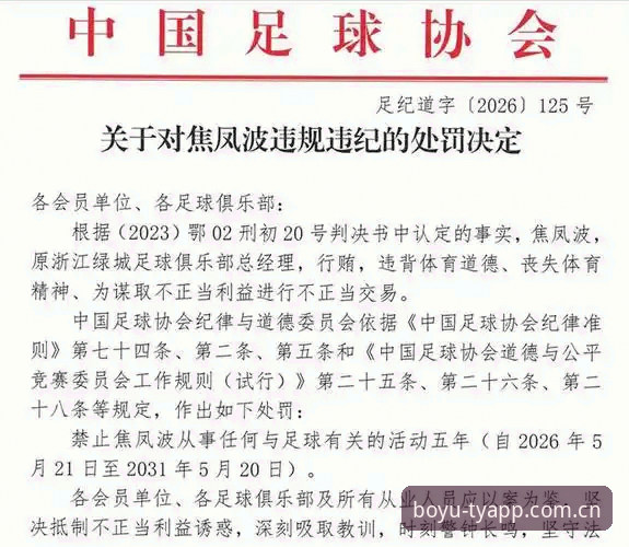 足协第三批禁足名单深度解读指南——博鱼综合体育用户如何高效追踪足球反腐数据